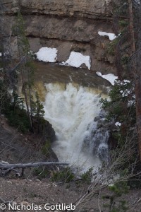 25'er on the Upper Provo